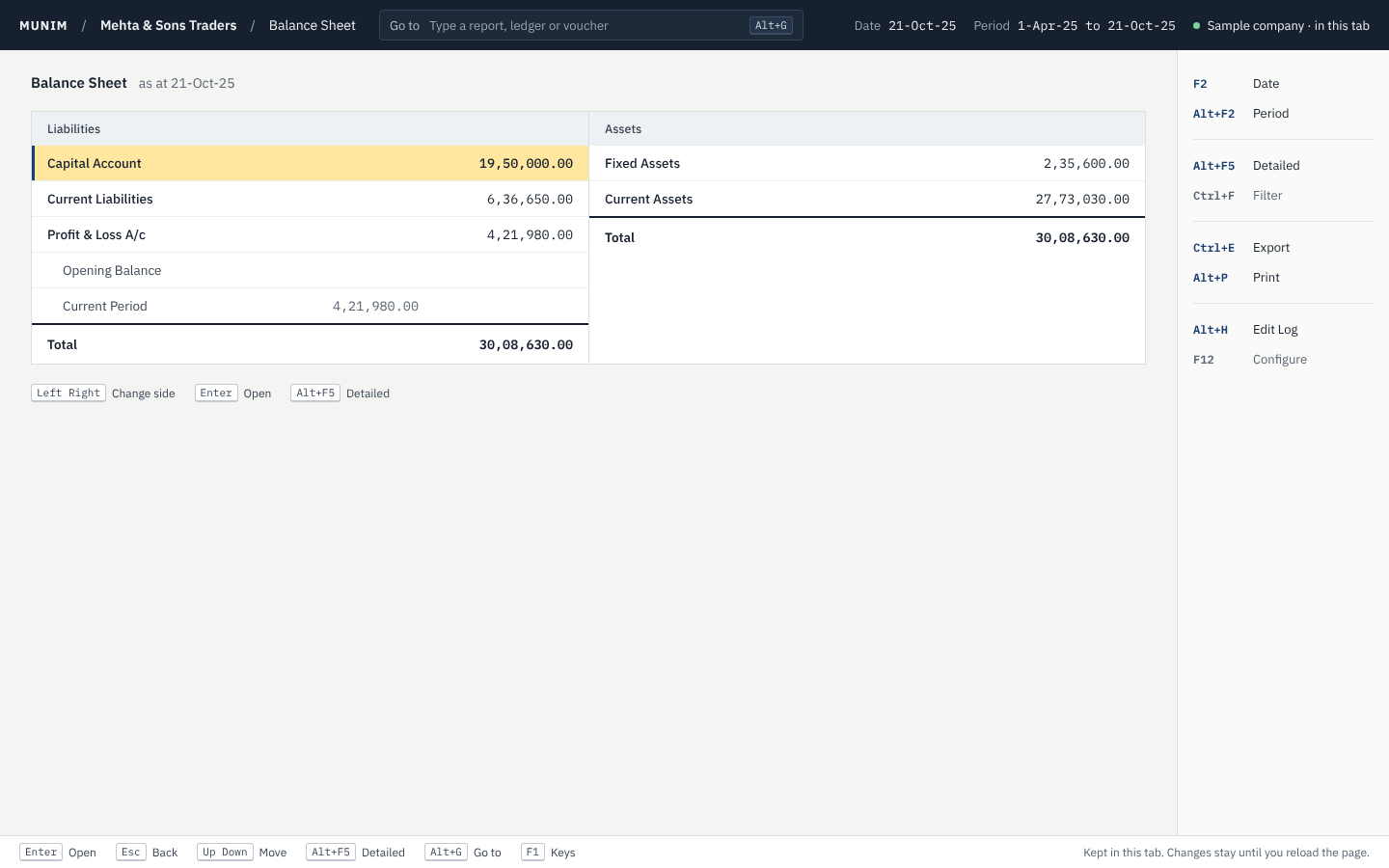 The Balance Sheet of a made-up sample company in Munim